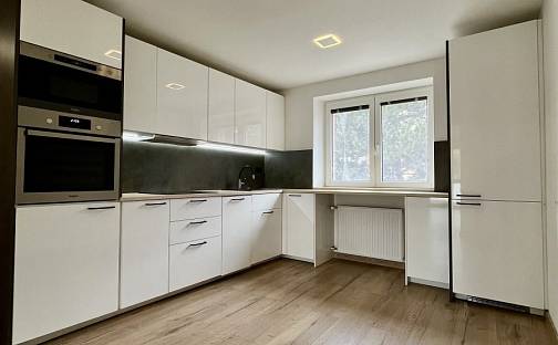 Pronájem bytu 2+1 48 m², Abramovova, Ostrava - Zábřeh