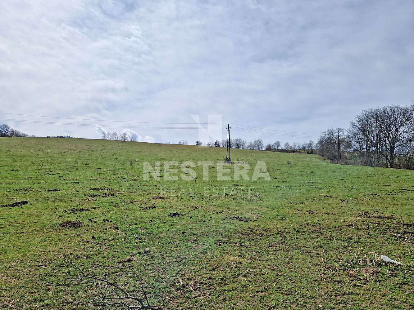 Prodej stavebního pozemku 49 574 m² – fotografie 3