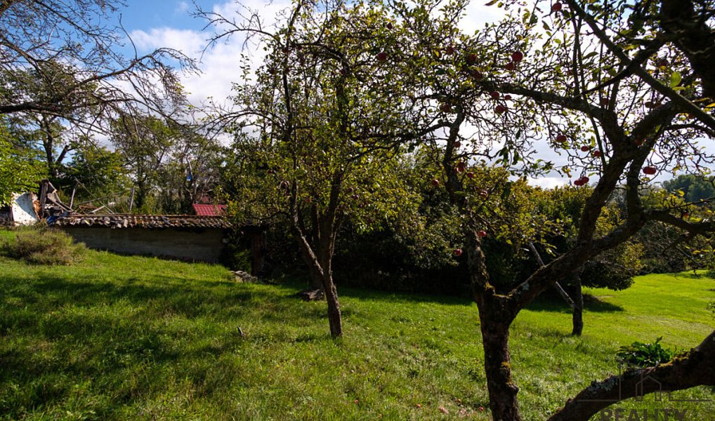 Prodej zahrady 1 863 m², Přerov – náhled fotky 9
