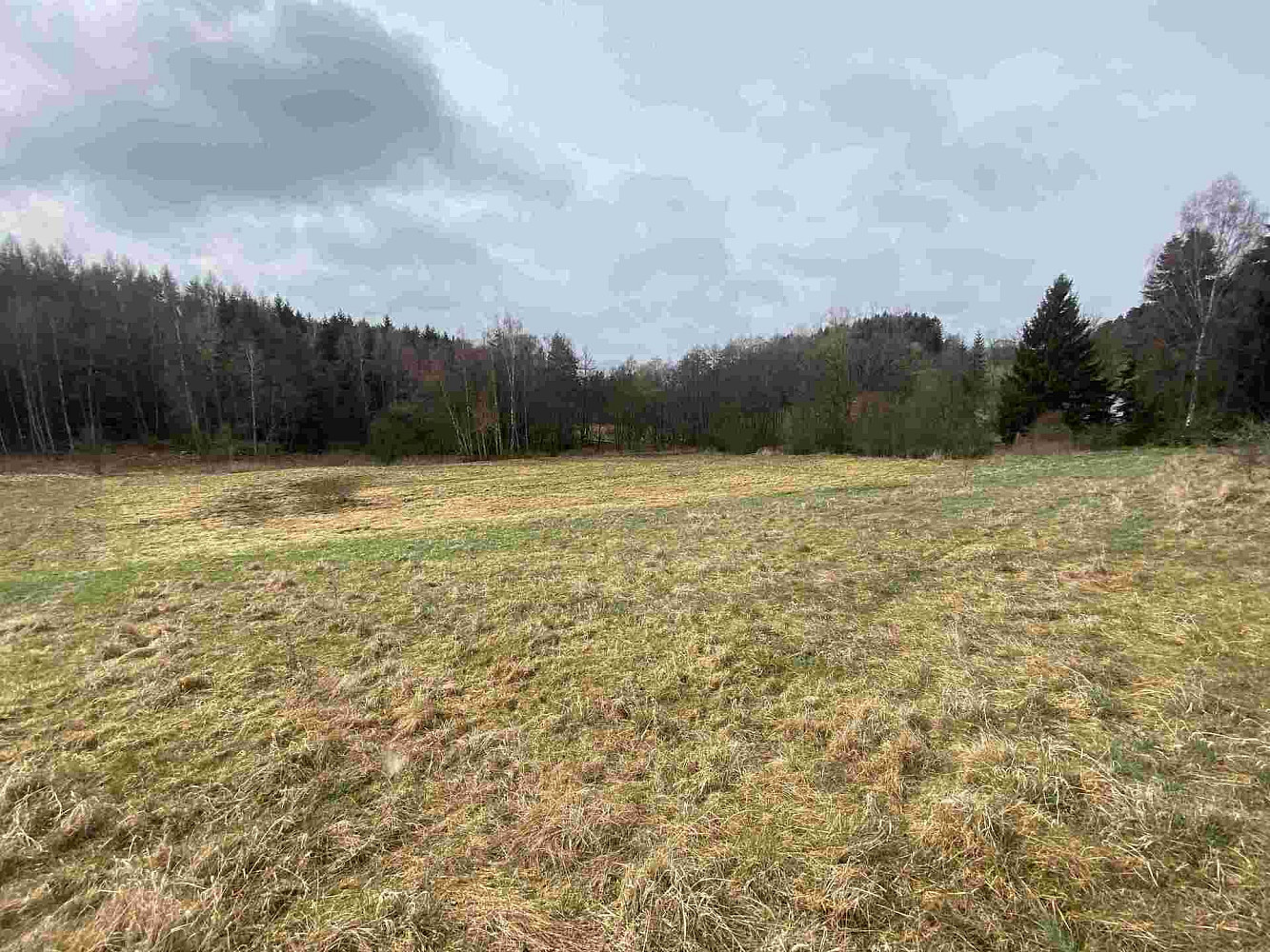 Prodej pole 8 071 m² – fotografie 4
