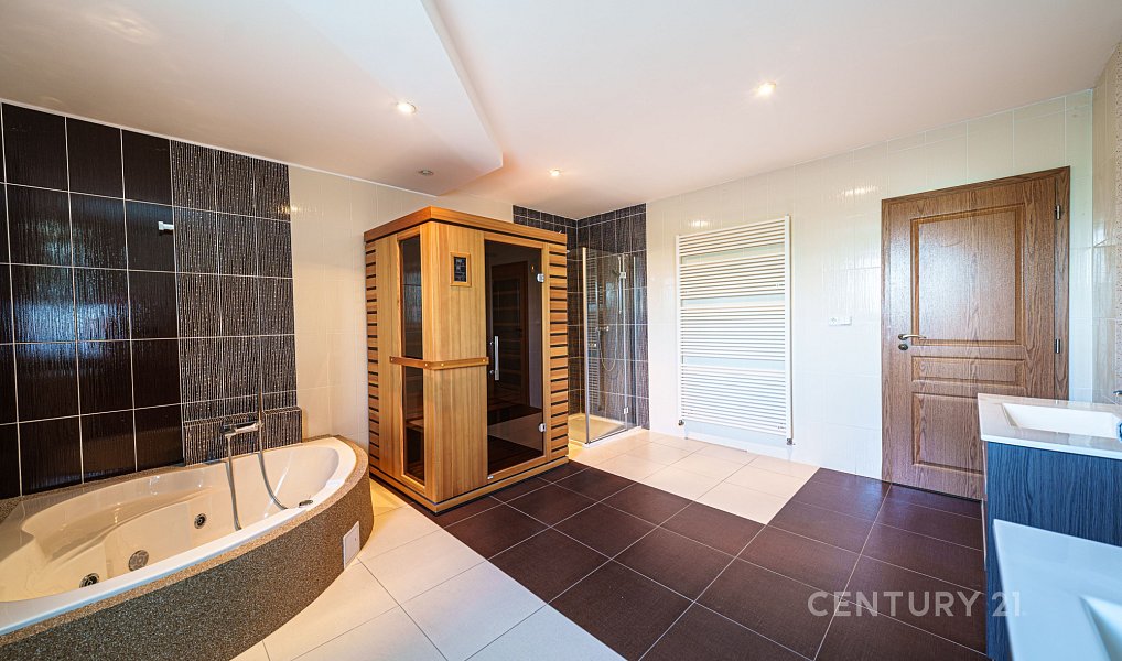 Prodej domu 545 m² s pozemkem 2 148 m², Chlumčany – náhled fotky 21