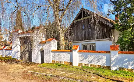 Prodej domu 300 m² s pozemkem 1 166 m², Dolní Stakory, okres Mladá Boleslav