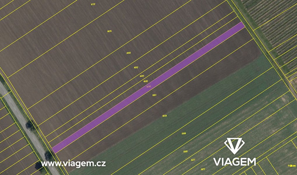 Prodej pole 1 481 m², Uherský Ostroh – náhled fotky 4
