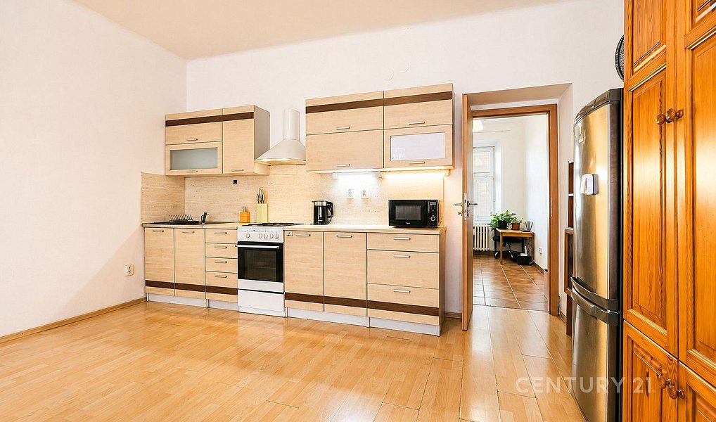 Prodej bytu 1+1 45 m², Brno – náhled fotky 4