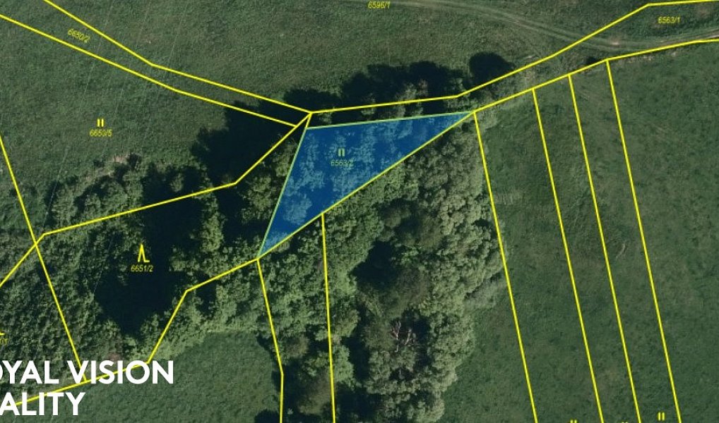 Prodej pole 11 492 m², Huslenky – náhled fotky 4