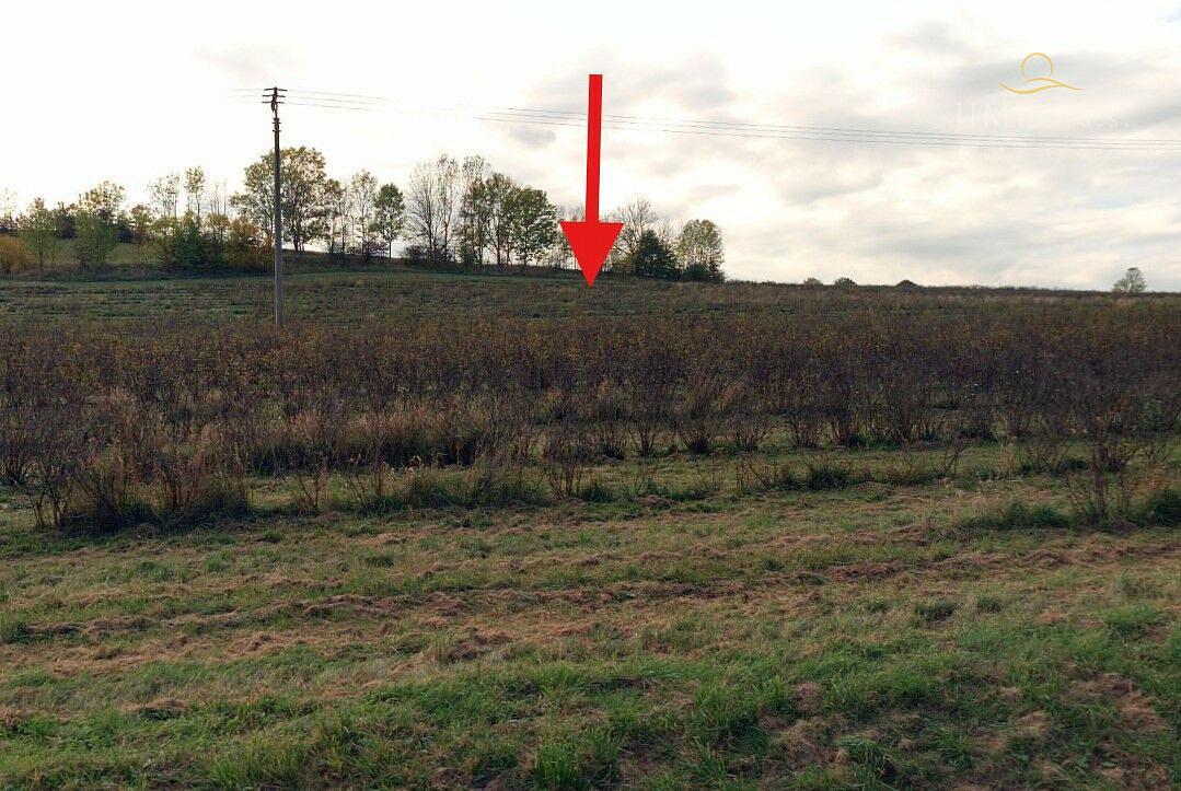 Prodej pole 12 035 m² – fotografie 5