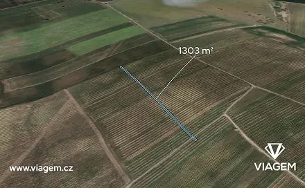 Prodej pole 1 303 m², Prušánky, okres Hodonín