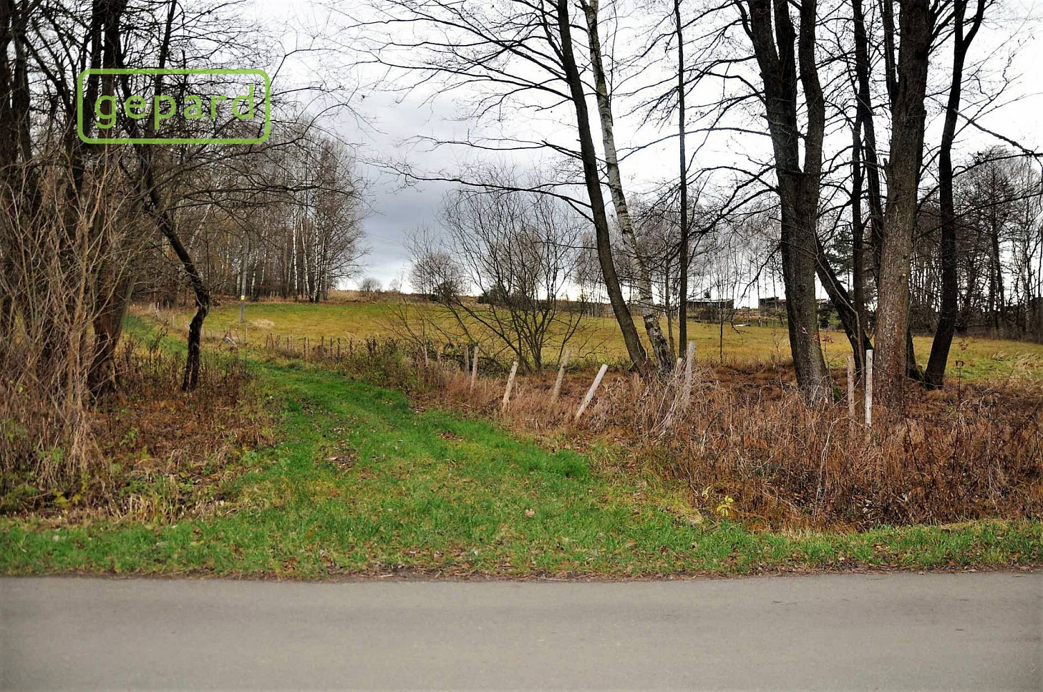 Prodej pole 4 674 m² – pohled 3