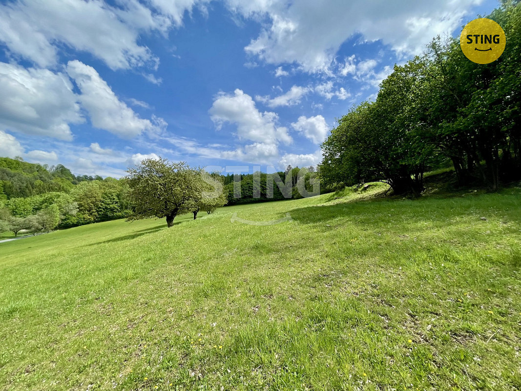 Prodej lesa 16 440 m² – pohled 4