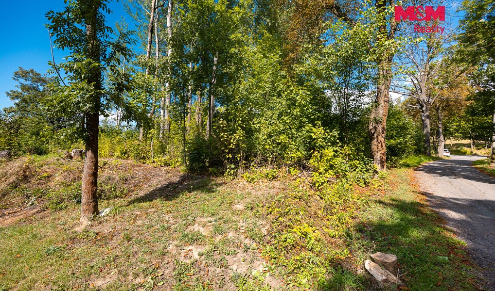 Prodej stavebního pozemku 2 103 m², Červená Voda – náhled fotky 4