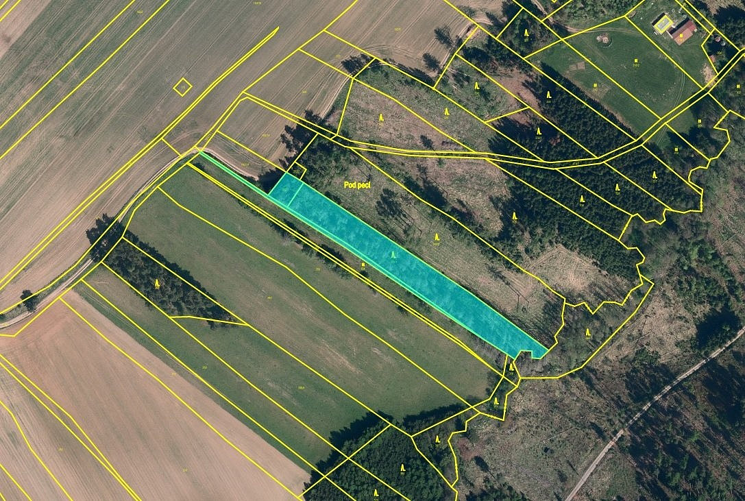 Prodej lesa 5 221 m²