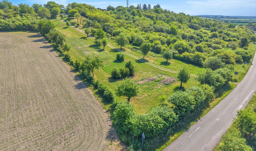 Prodej zahrady 8 945 m², Olešnice – náhled fotky 5