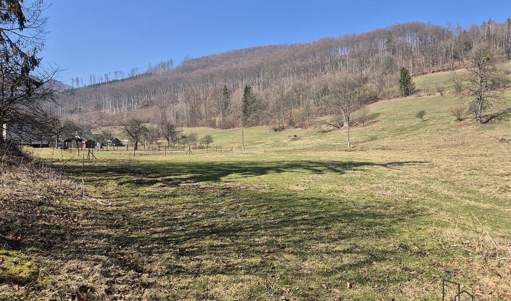 Prodej stavebního pozemku 2 189 m², Košařiska – náhled fotky 3