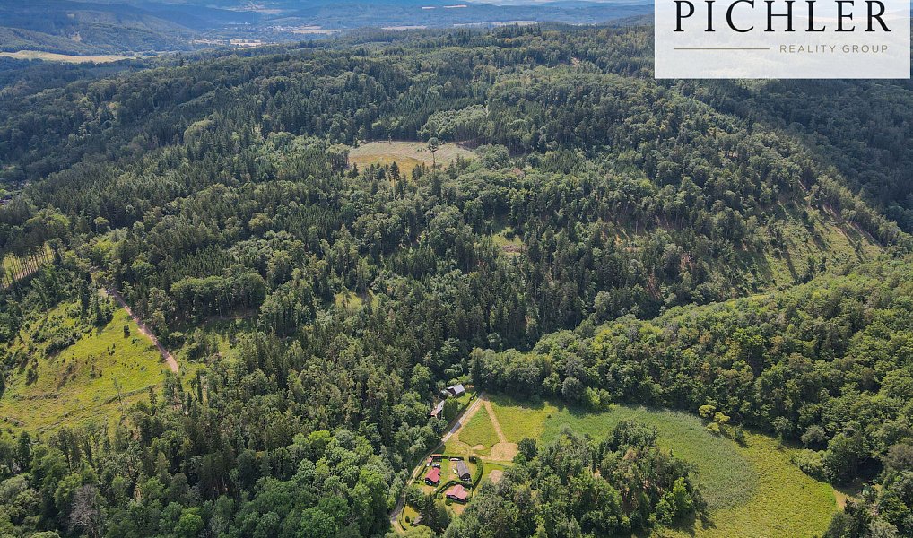 Prodej pozemku 2 398 m², Ptice – náhled fotky 7