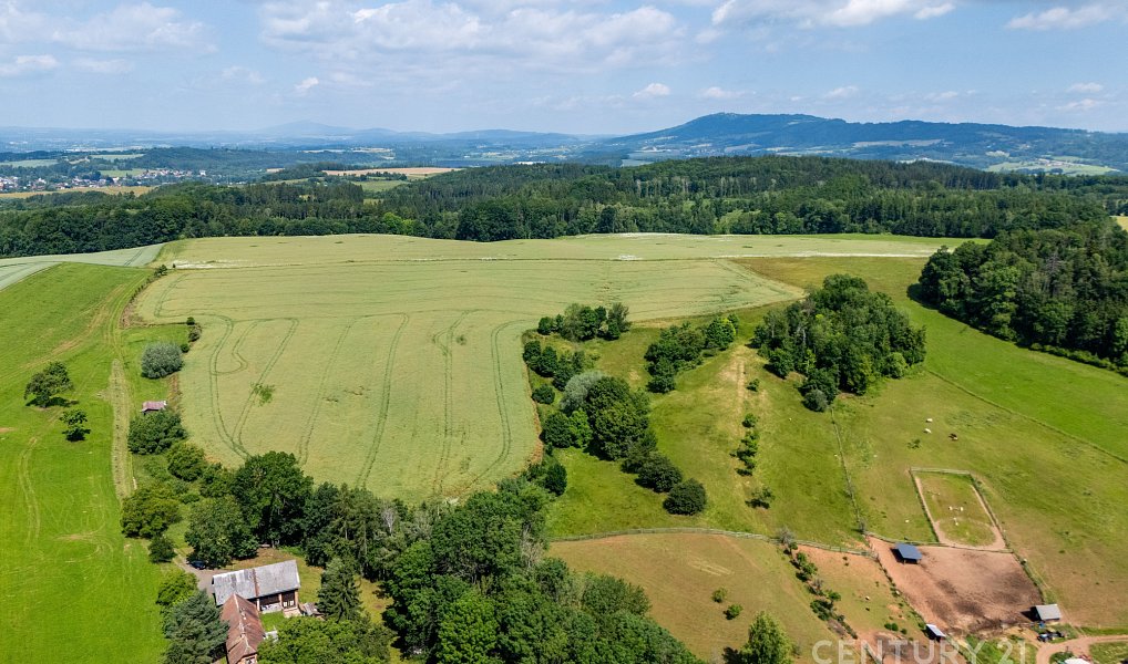 Prodej louky 11 026 m², Holenice – náhled fotky 5