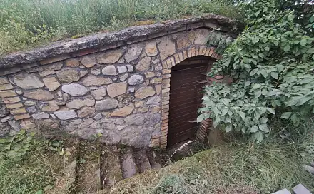 Prodej vinného sklepa 14 m² Vrbice, okres Břeclav, Vrbice, okres Břeclav