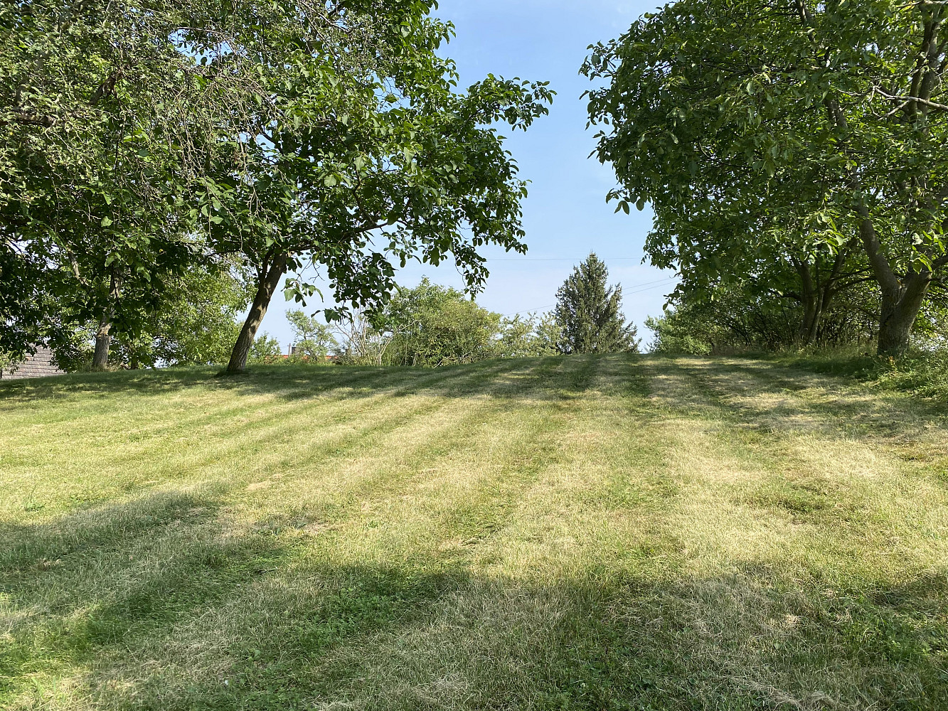 Prodej stavebního pozemku 3 359 m² – fotografie 3