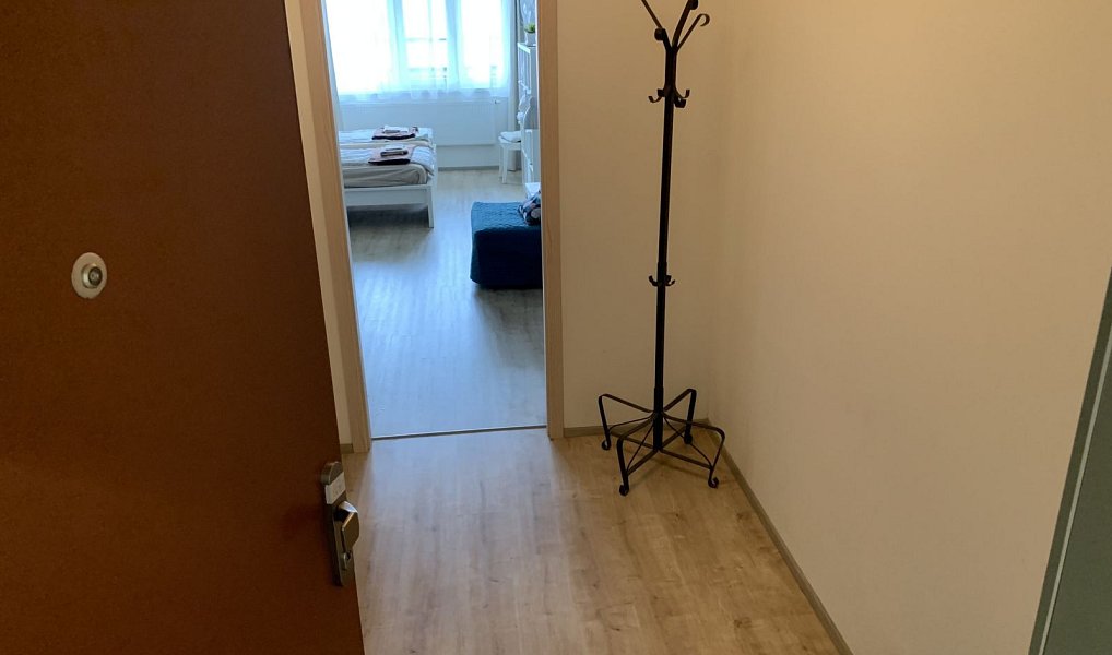 Prodej bytu 1+kk 33 m², Praha – náhled fotky 13