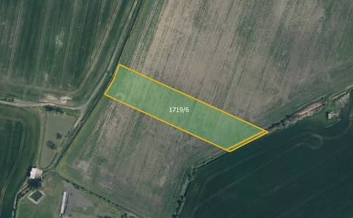 Prodej pole 4 680 m², Dobrovice, okres Mladá Boleslav