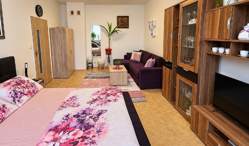 Prodej bytu 1+1 49 m², Osek nad Bečvou – náhled fotky 3