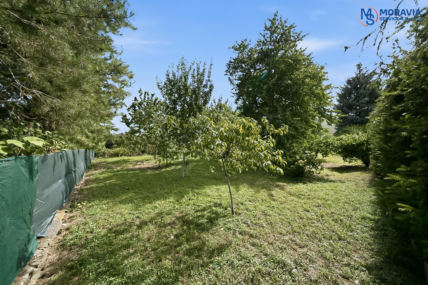 Fotka 4 z 21