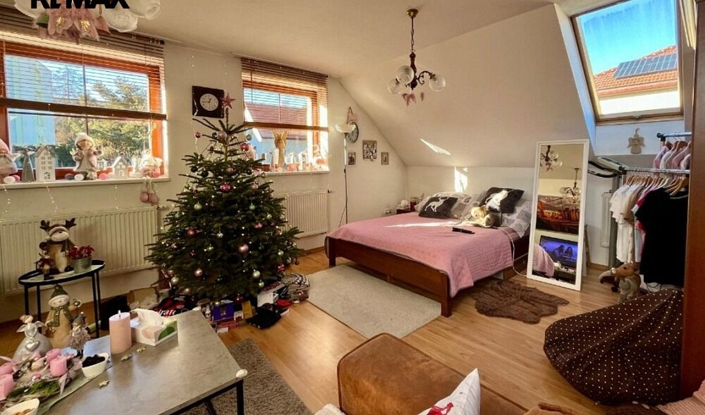 Prodej domu 220 m² s pozemkem 1 093 m², Pelhřimov – náhled fotky 26