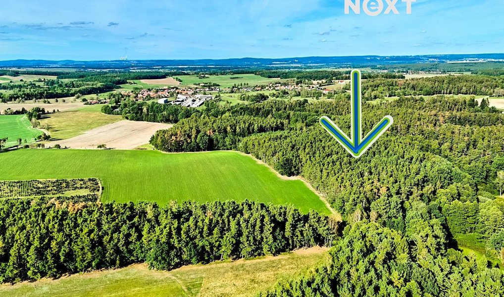 Prodej lesa 13 404 m², Hradce – náhled fotky 2