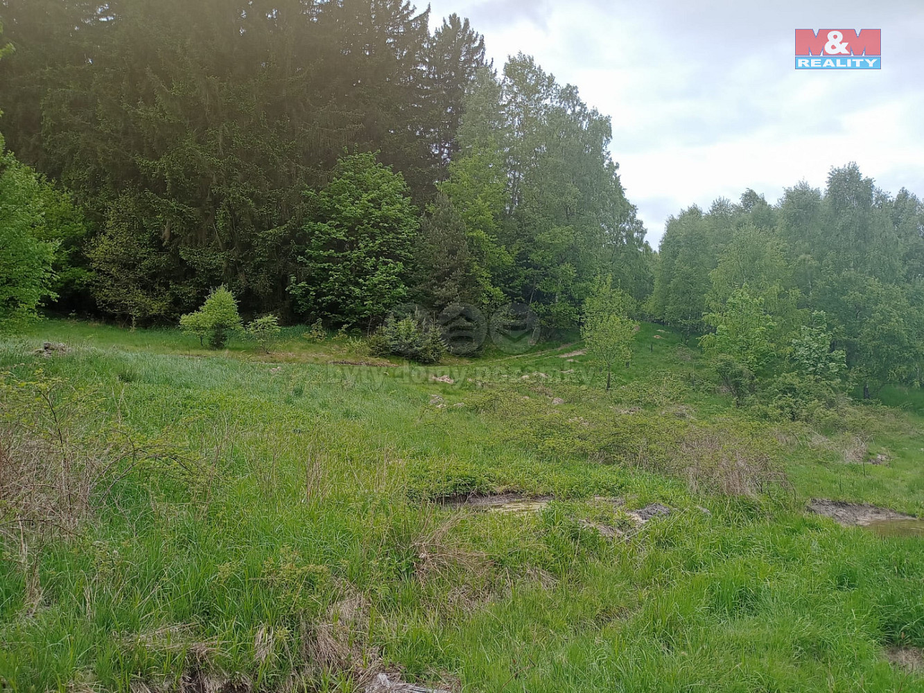 Prodej louky 7 967 m²