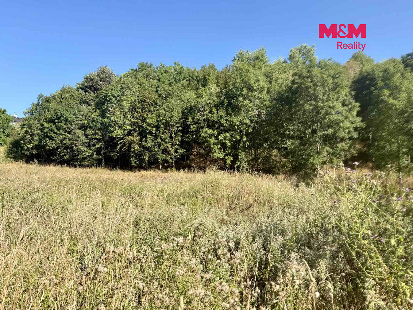 Prodej stavebního pozemku 5 378 m² – fotografie 2