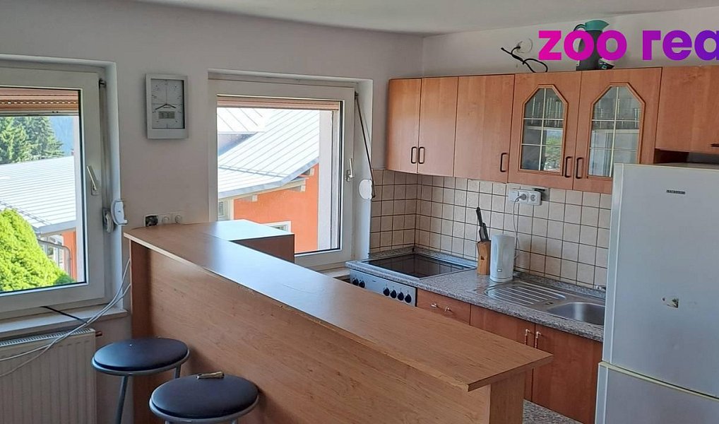 Prodej nájemního domu, činžáku 462 m², Strážný – náhled fotky 6