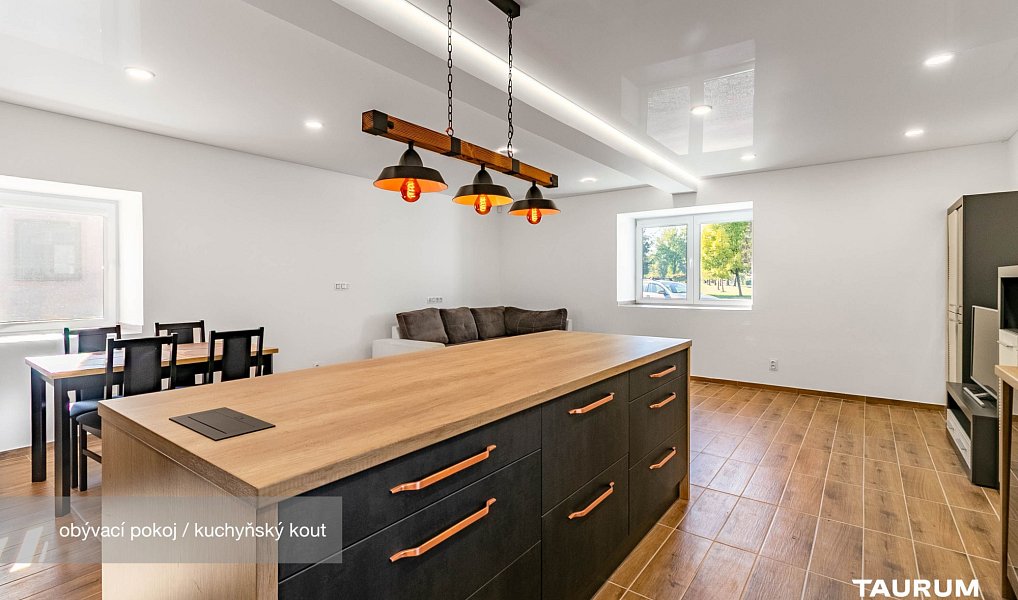 Prodej domu 366 m² s pozemkem 1 448 m², Přehýšov – náhled fotky 7