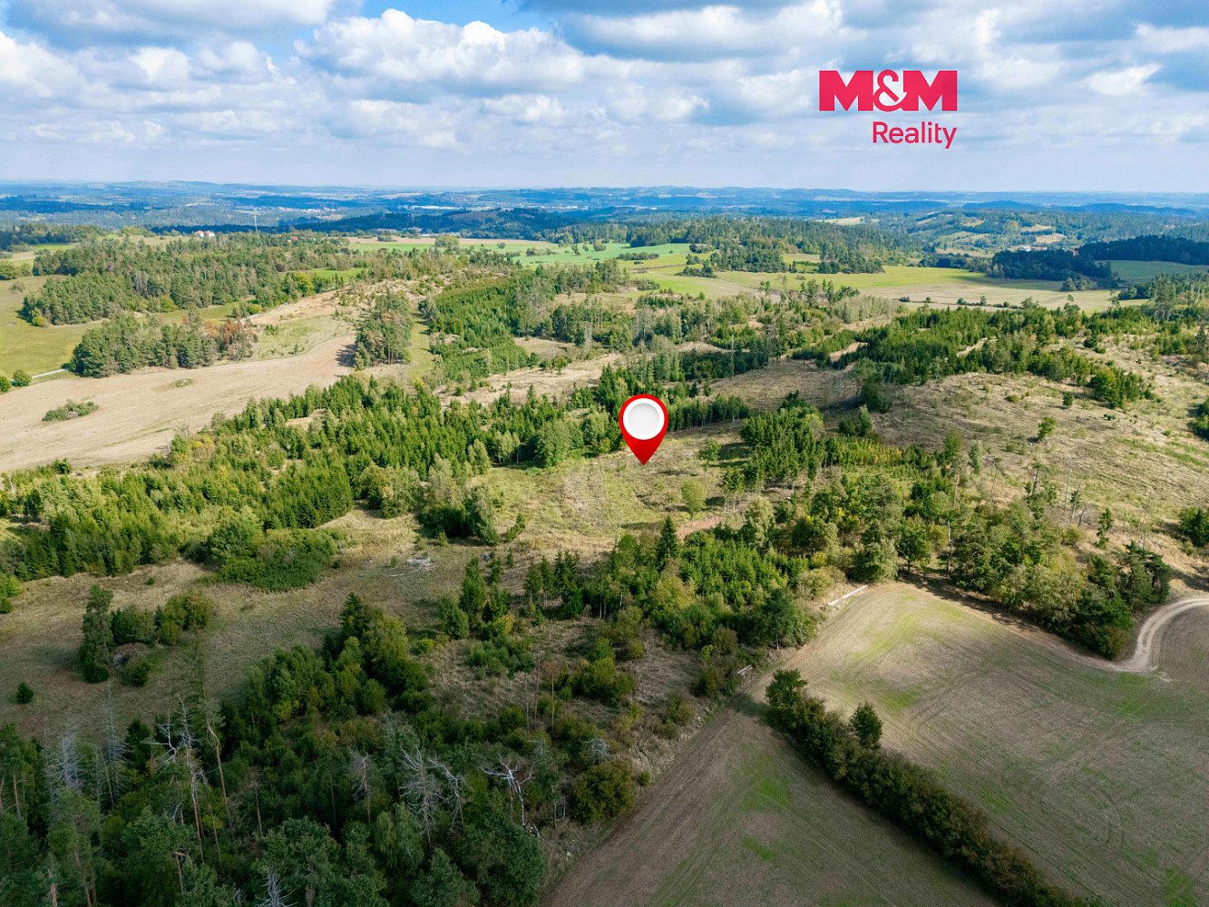 Prodej lesa 31 116 m²