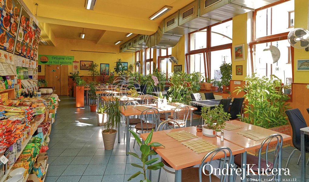Prodej domu 1 000 m² s pozemkem 1 000 m², Kladno – náhled fotky 10