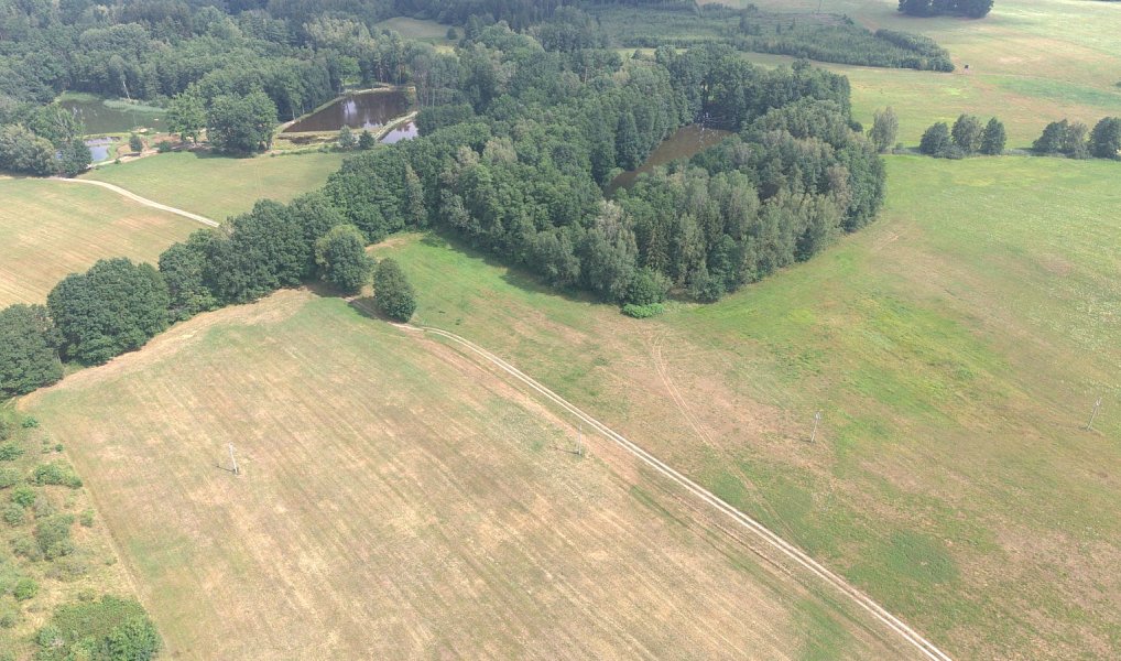Prodej lesa 360 000 m², Chlum u Třeboně – náhled fotky 6