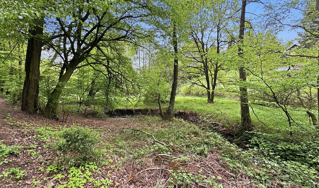 Prodej louky 3 057 m², Všestary – náhled fotky 2