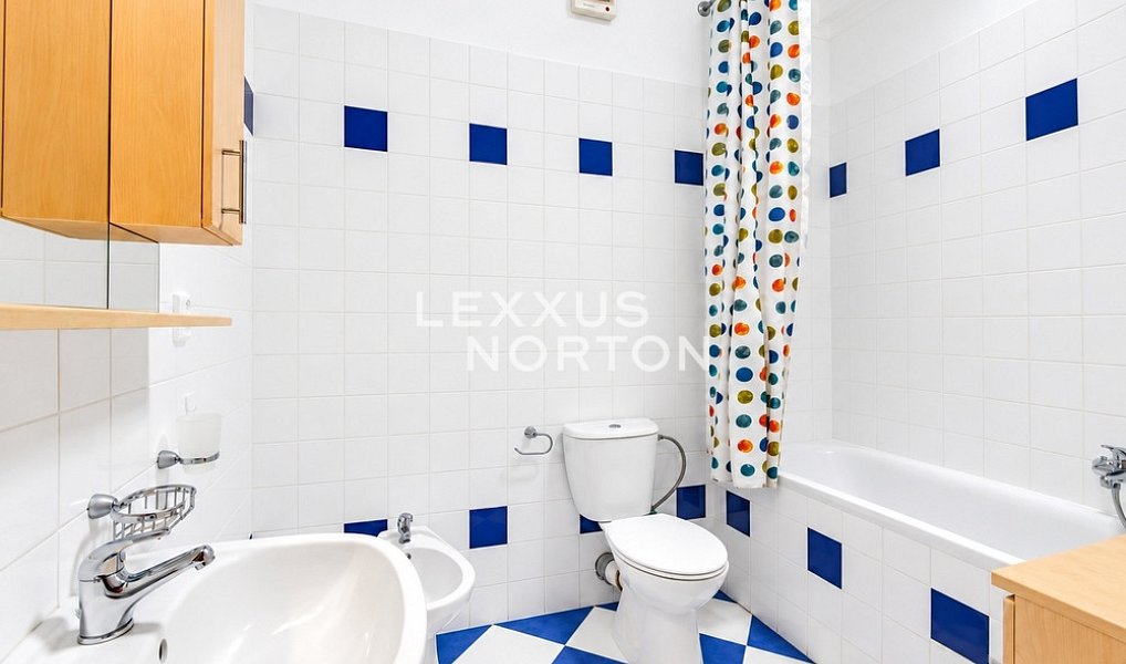 Pronájem bytu 4+kk 153 m², Praha – náhled fotky 8