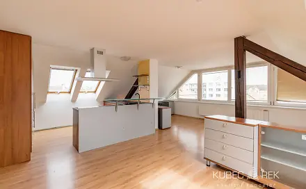 Pronájem bytu 2+kk 66 m², Sezimova, Tábor