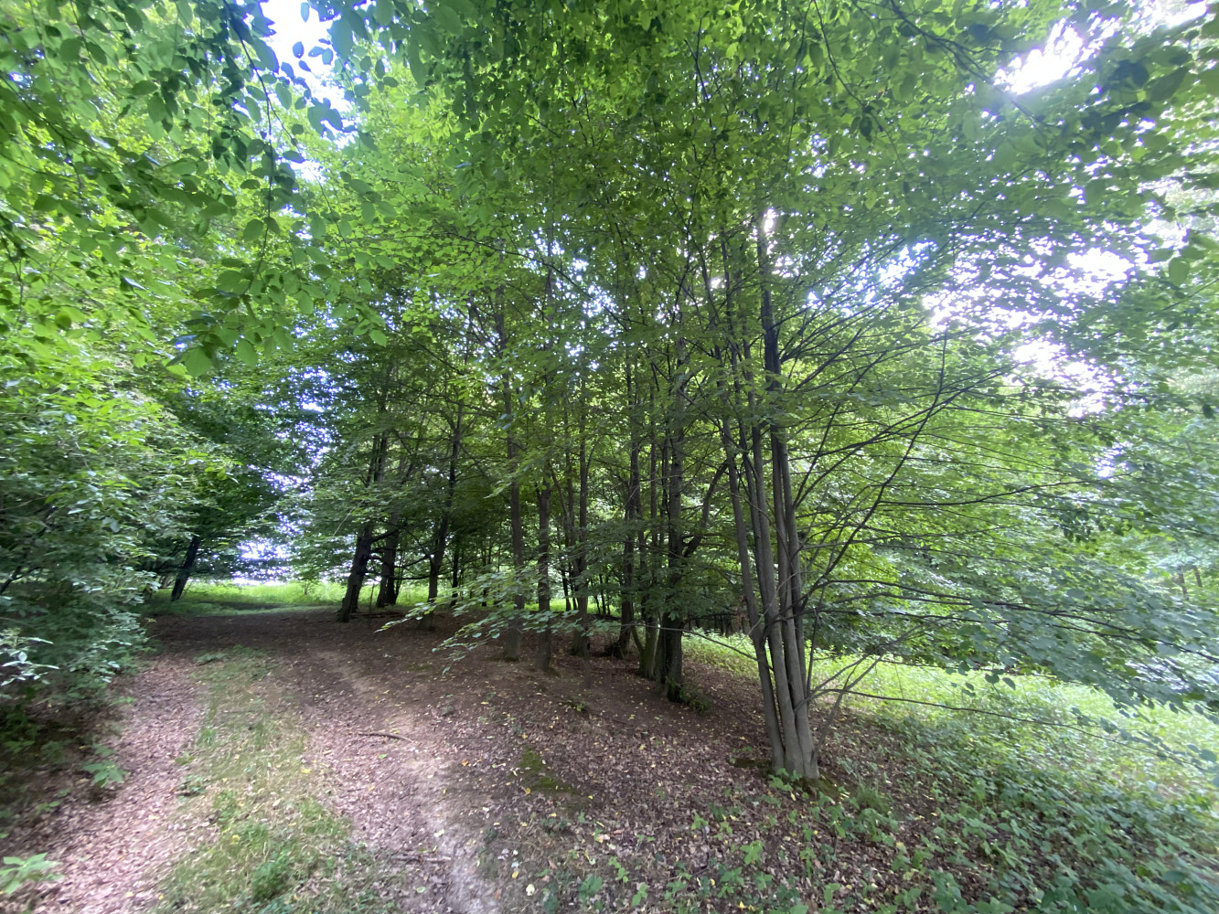Prodej louky 1 547 m²