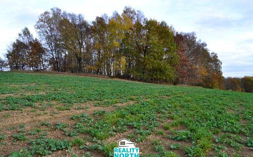 Prodej pozemku 11 599 m², Stráž pod Ralskem, okres Česká Lípa