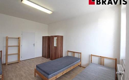 Pronájem pokoje 20 m², Palackého třída, Brno - Medlánky