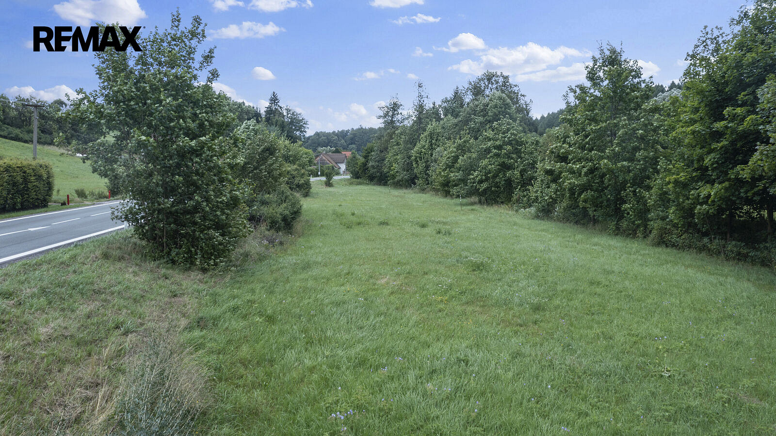 Prodej stavebního pozemku 2 681 m² – fotografie 4