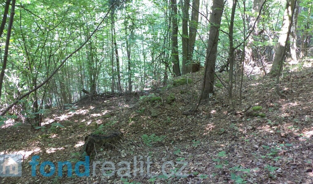 Prodej pozemku 4 634 m², Dolní Dobrouč – náhled fotky 7