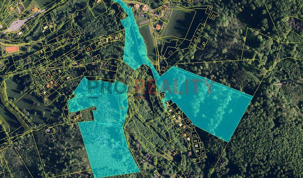 Prodej lesa 102 000 m², Třinec – náhled fotky 2