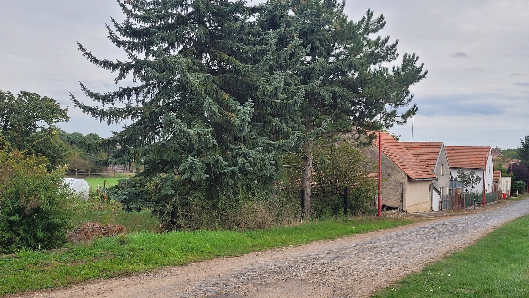Fotka 12 z 14