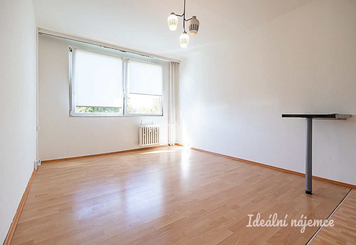 Pronájem bytu 1+kk 33 m² – fotografie 2