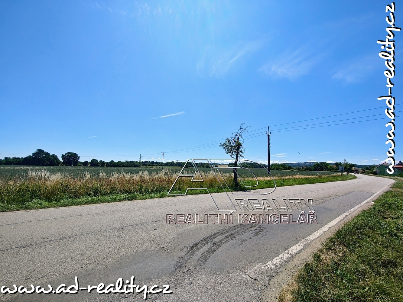 Prodej pole 3 872 m² — photo 2