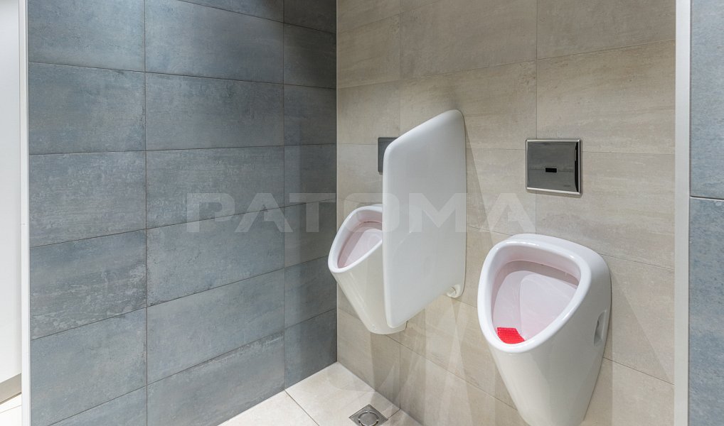 Pronájem kanceláře 674 m², Praha – náhled fotky 15