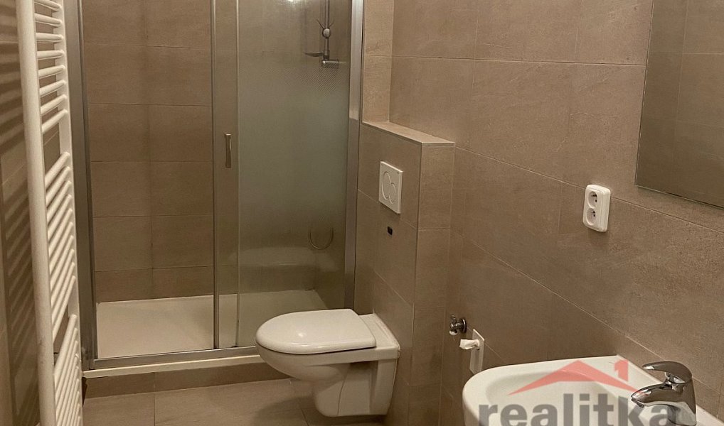 Pronájem bytu 3+kk 104 m², Opava – náhled fotky 8