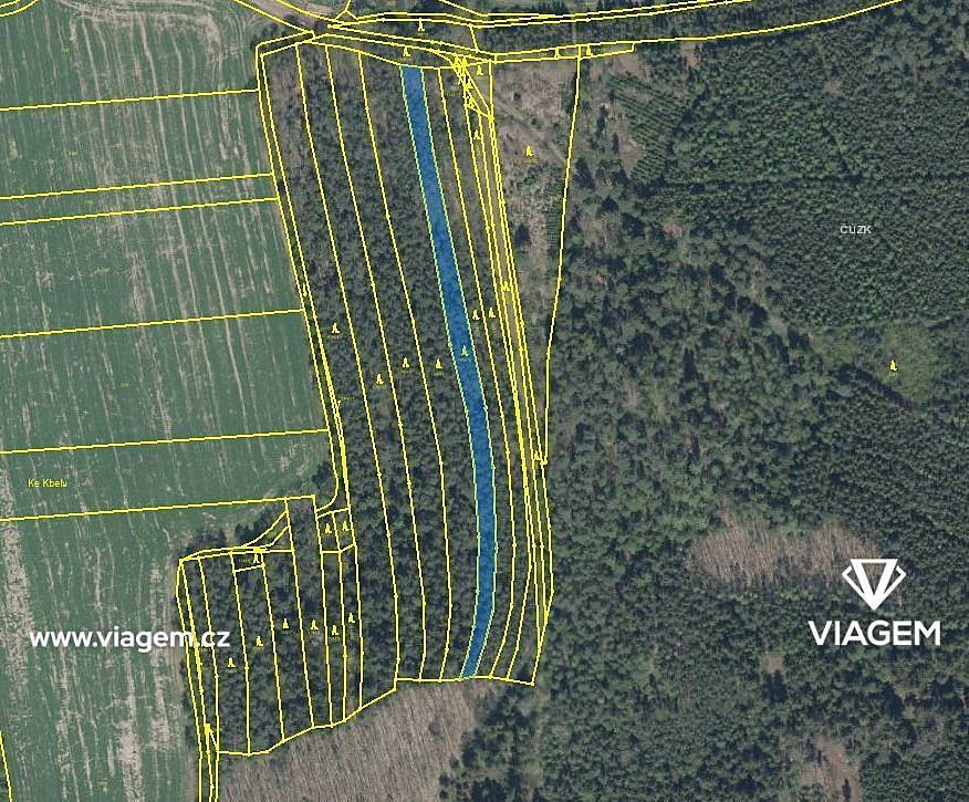 Prodej lesa 859 m² – pohled 3
