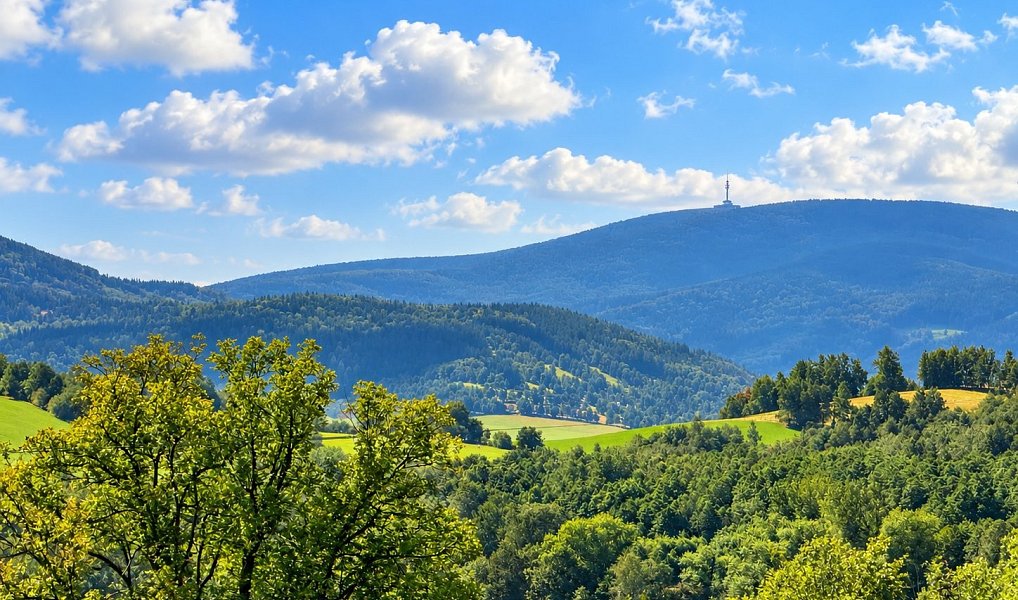 Prodej stavebního pozemku 1 161 m², Jeseník – náhled fotky 11